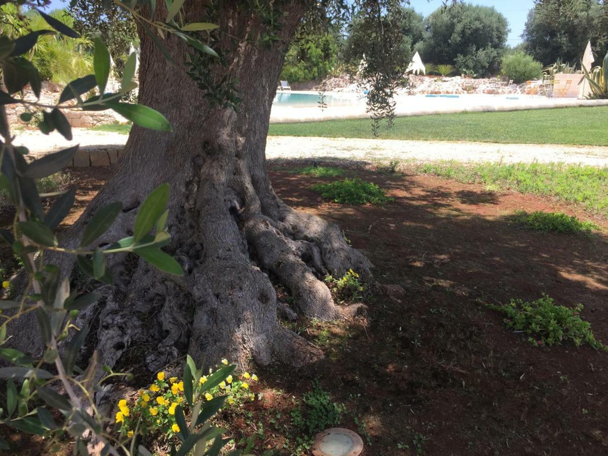 I Love Trullo - Country Boutique Apartments - Villa Laura Ostuni Exteriör bild